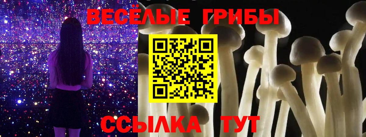 купить наркоту  Вход с VPN  Ефремов  Псилоцибиновые грибы ЛСД 